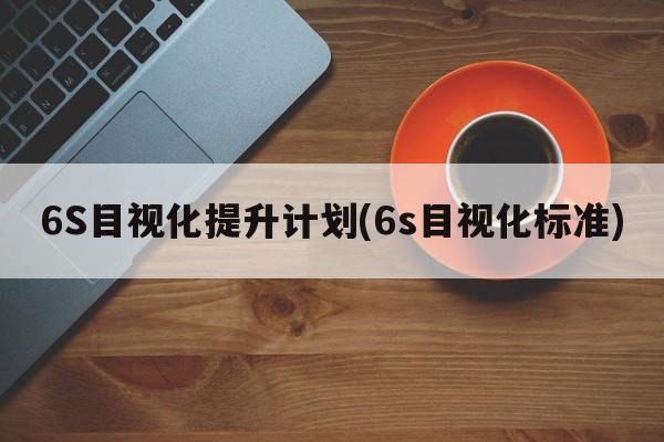 6S目视化提升计划(6s目视化标准)